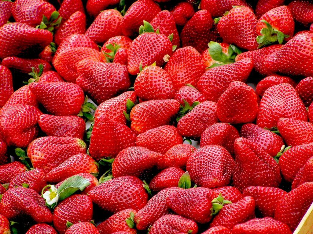 strawberries red fruit royalty free 70746 70746 A close-up of plump, fresh strawberries showcasing vivid red colors and lush green stems. Fresas